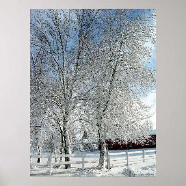 Póster Árvores de inverno (Frente)