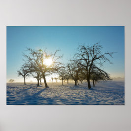 Poster Árvores de inverno ao nascer do sol