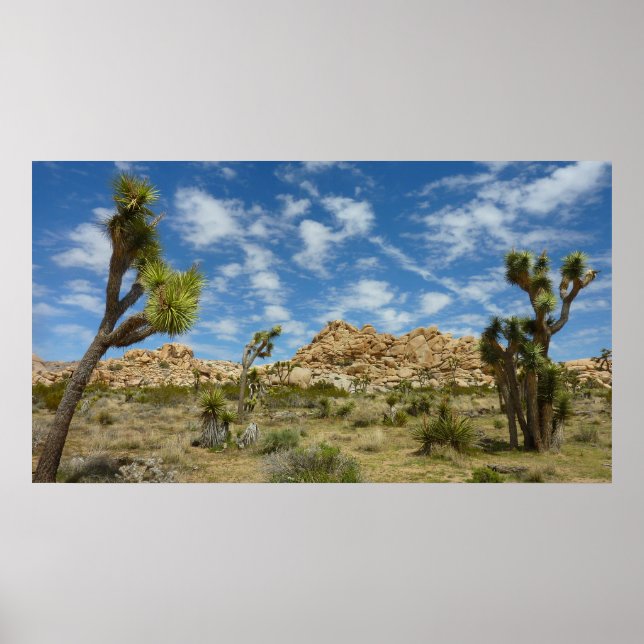 Poster Árvores de Josué e Paisagem Desértica com Céu Azul (Frente)