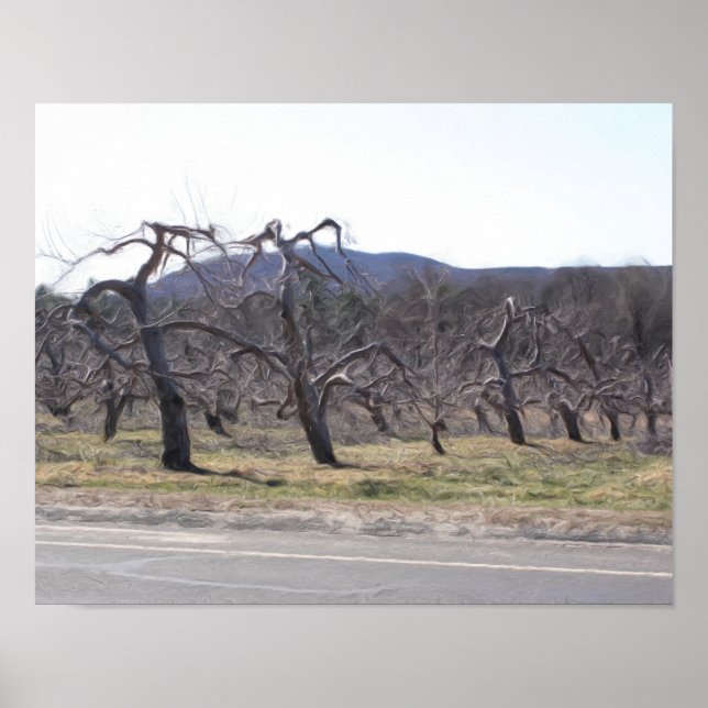 Póster Árvores De Maçã Em Pintura Fotográfica De Óleo De  (Frente)