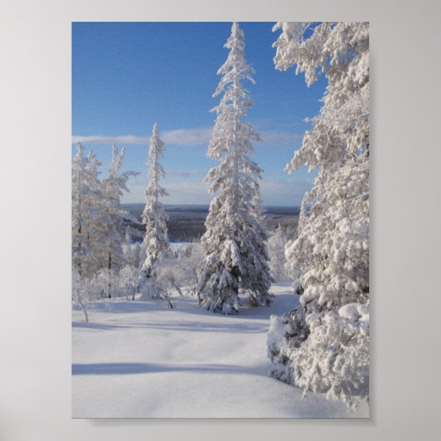 Poster Árvores de Montanha 1 (Frente)