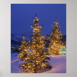 Póster Árvores de Natal, Park City, montanhas de Wastch,