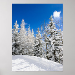 Póster Árvores de neve sob céu azul claro