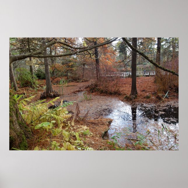 Póster árvores de outono de jardim e plantas de lagoas d' (Frente)