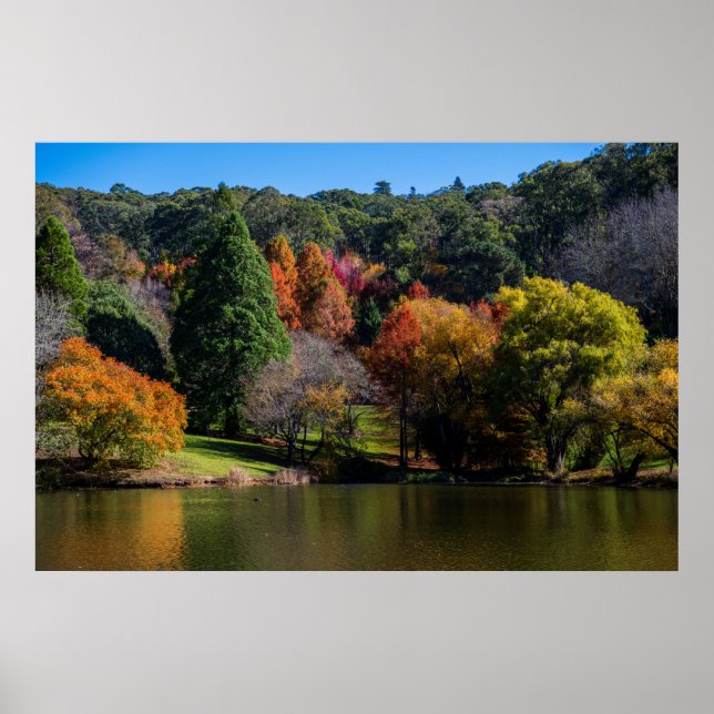 Poster Árvores de Paisagem de Cores de Outono Vivas (Frente)
