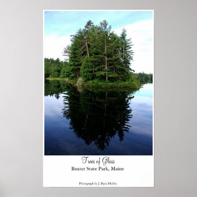 Póster Árvores de Vidro (Frente)