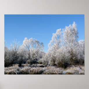 POSTER ÁRVORES DO INVERNO