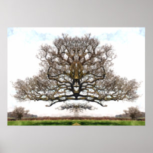 PÓSTER ÁRVORES DO PRIMAVERA