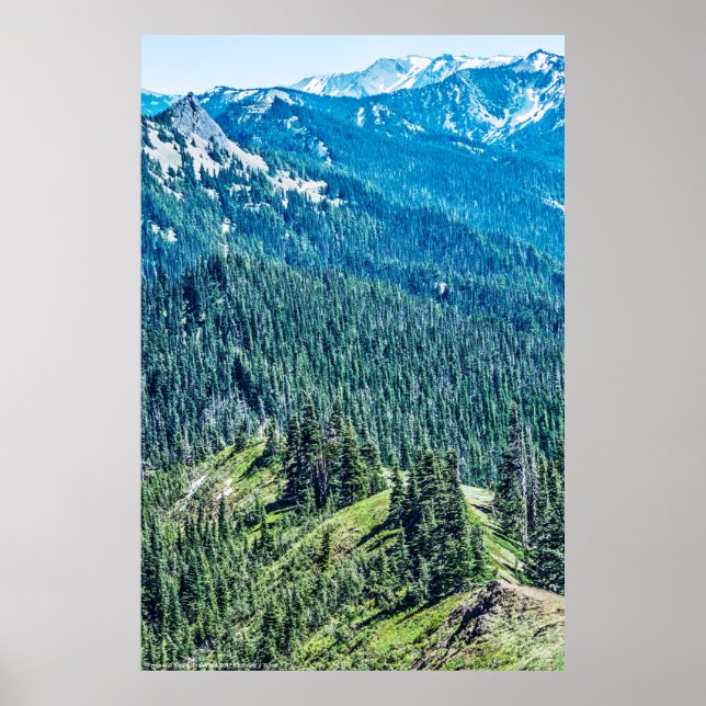 Poster Árvores e seringas (Frente)