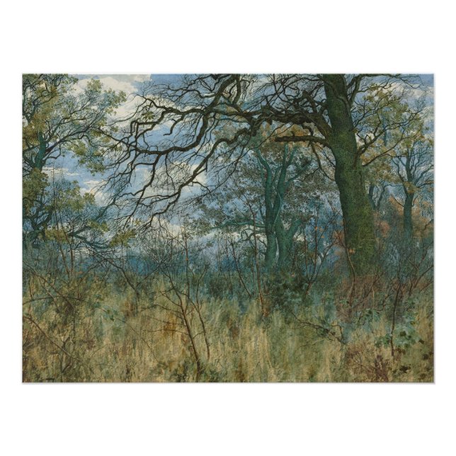 Póster Árvores e Sub-bosque – Jardim William Fraser (Frente)