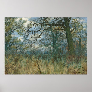 Poster Árvores e Sub-crescimento - William Fraser Garden