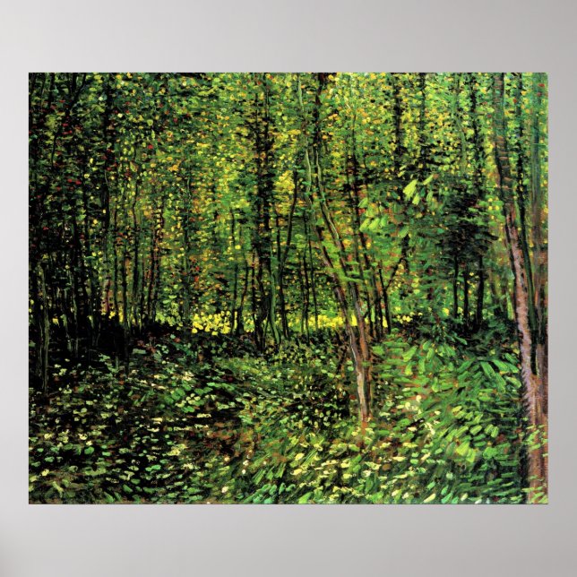 Poster Árvores E Subcrescimento (Frente)