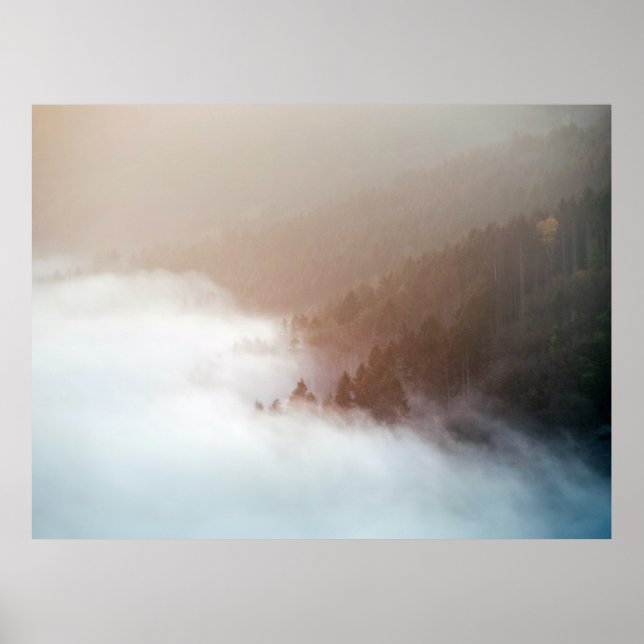 Poster Árvores em montanha cobertas com neblina (Frente)