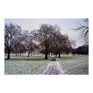 Póster Árvores em Primrose Hill Camden Londres