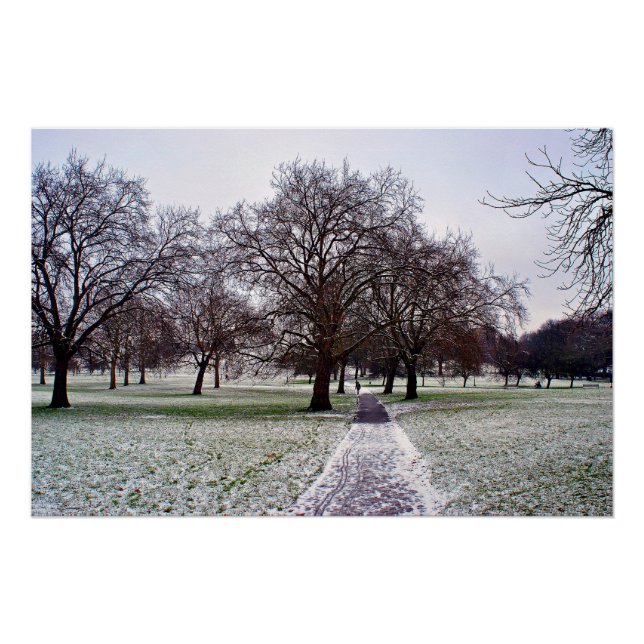 Póster Árvores em Primrose Hill Camden Londres (Frente)