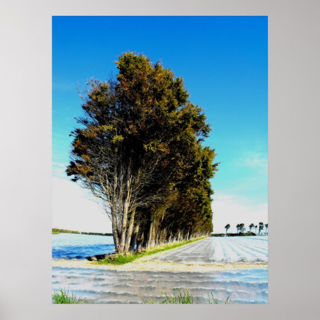 Poster Árvores em uma paisagem de Jersey (Frente)