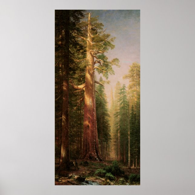 Poster Árvores Excelentes, por Albert Bierstadt (Frente)