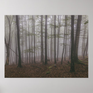 Poster Árvores florestais de inverno #9