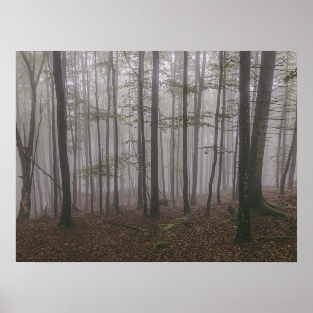 Poster Árvores florestais de inverno #9 (Frente)