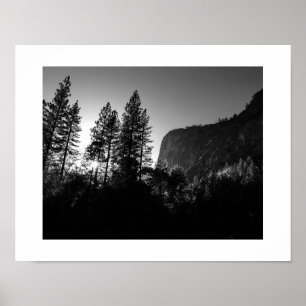 Poster Árvores iluminadas por sol Yosemite Black and Whit
