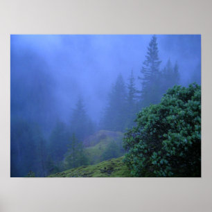 Poster Árvores Misteriosas