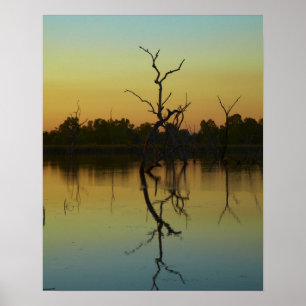 Poster Árvores mortas refletidas na Lagoa Lily Creek, ao