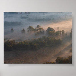 Poster Árvores na névoa da manhã
