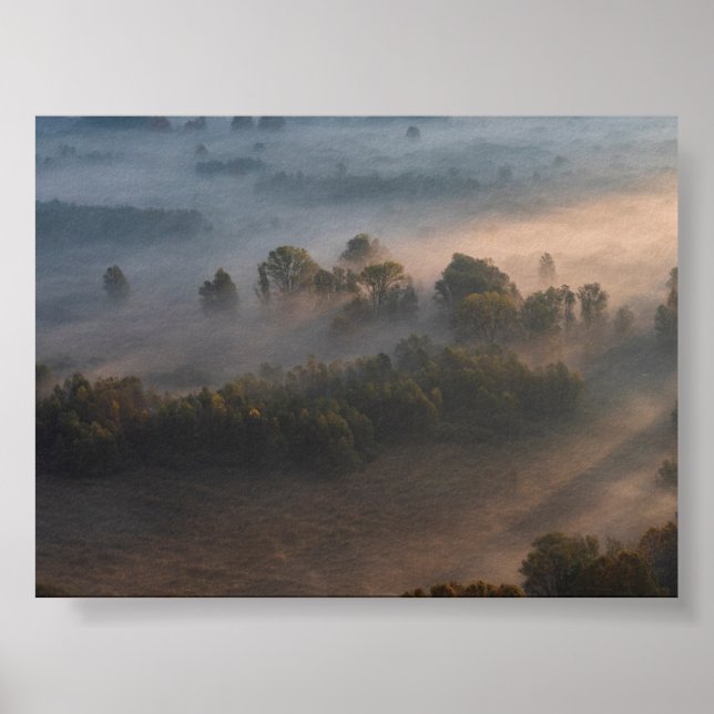 Poster Árvores na névoa da manhã (Frente)