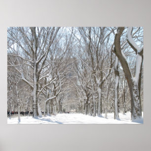 Poster Árvores nevado no Central Park
