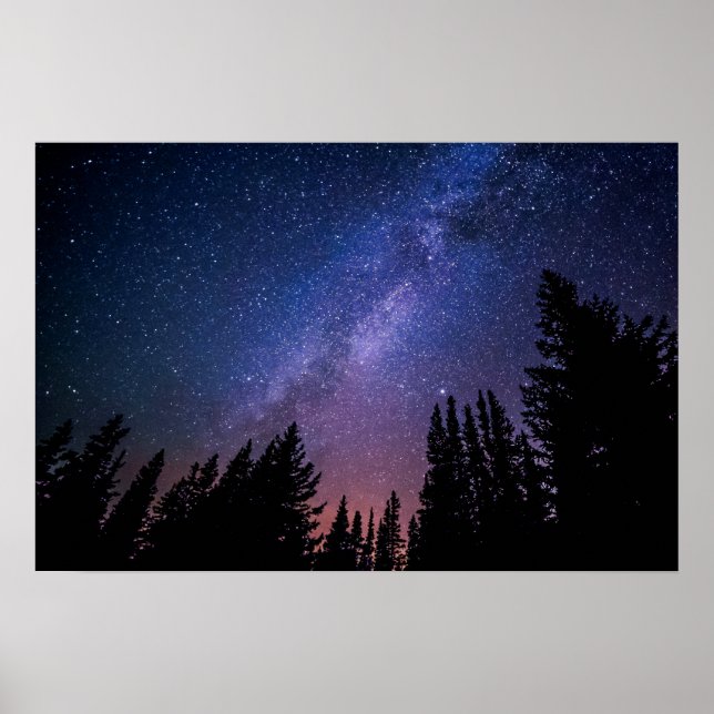 Poster Árvores Noturnas e Estrelas Trabalho de arte | POS (Frente)