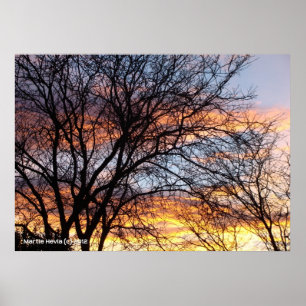 Póster Árvores nuas ao pôr do sol