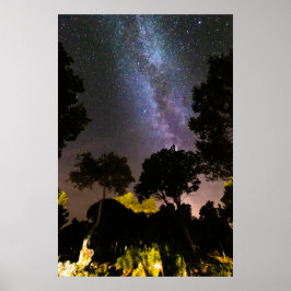 Poster Árvores paisagem com via láctea
