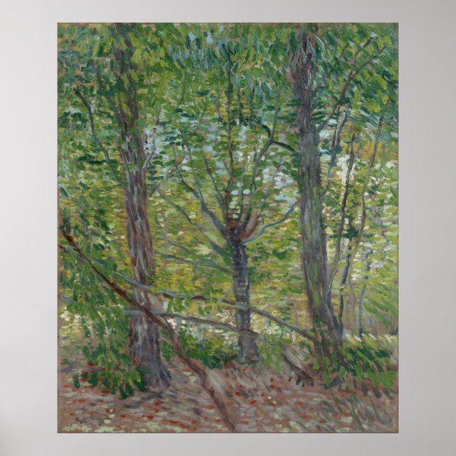 Poster Árvores por Vincent Van Gogh (Frente)
