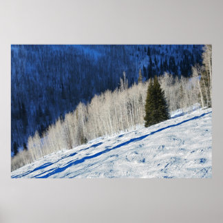 Poster Árvores Prateadas