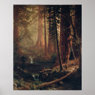 Poster Árvores Redwood Gigantes da Califórnia Albert Bier