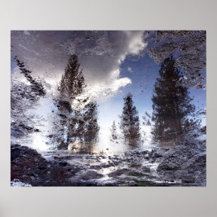 Poster Árvores refletindo na água da poça da chuva