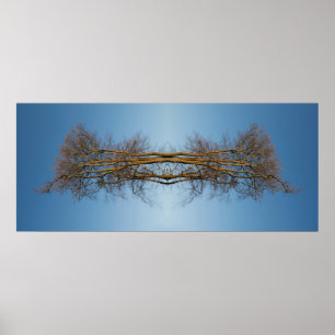 Poster Árvores refletoras