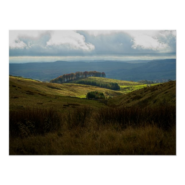 Póster Árvores sentadas na colina iluminada pelo sol no i (Frente)