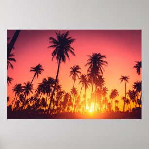 Poster Árvores tropicais