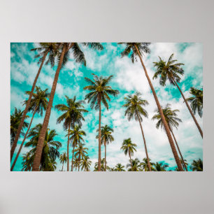 Poster Árvores tropicais