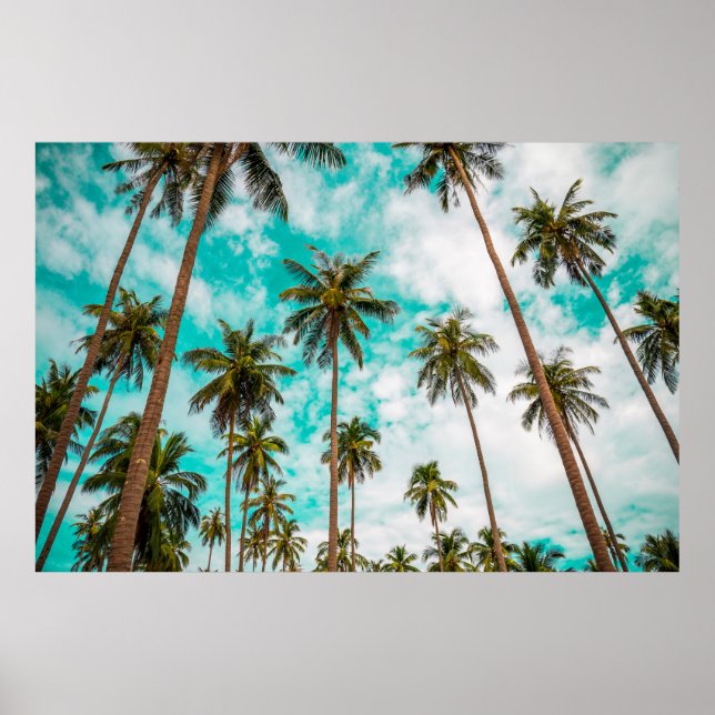 Poster Árvores tropicais (Frente)