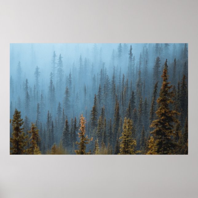 POSTER ÁRVORES VERDE DURANTE O DIA (Frente)