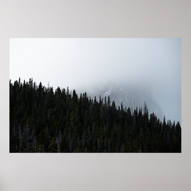 POSTER ÁRVORES VERDE EM EVERGREEN SOB UM CÉU NUVEM (Frente)