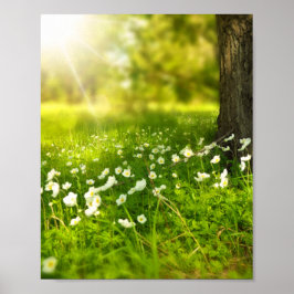 Poster As alegrias da Primavera