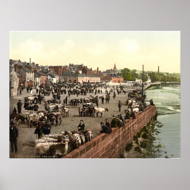 Poster As areias, os lixos, a Escócia (Frente)