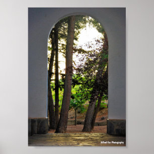 Poster As Árvores através do Arco