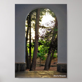 Poster As Árvores através do Arco