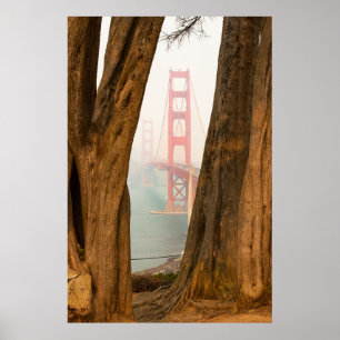 Poster As árvores de golden gate bridge   de negligencia