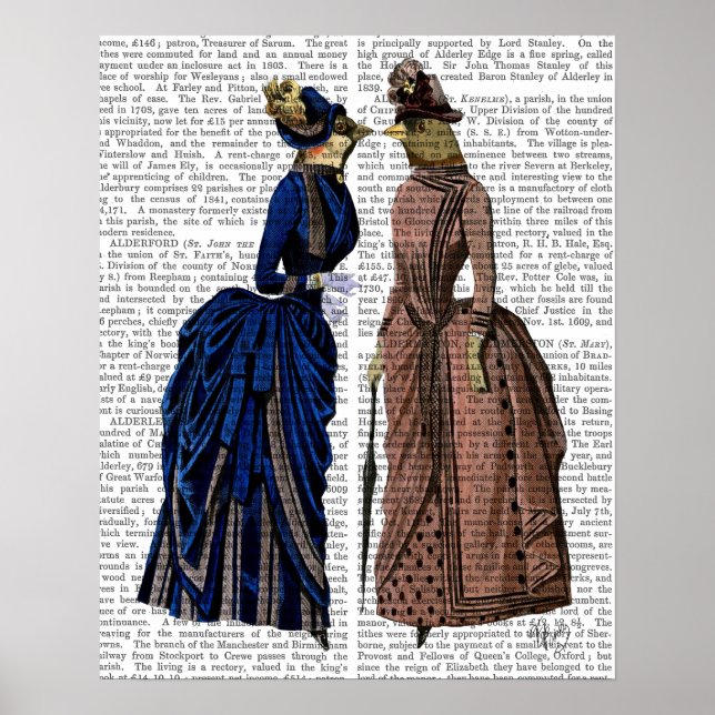 Póster As Aves De Gossip (Frente)