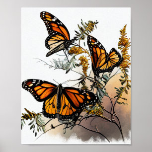 Poster As borboletas da beleza da natureza